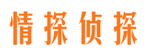 安远市私家侦探